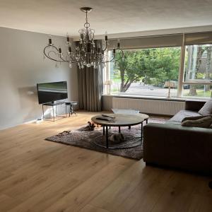 housePhoto
