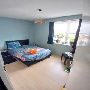 housePhoto