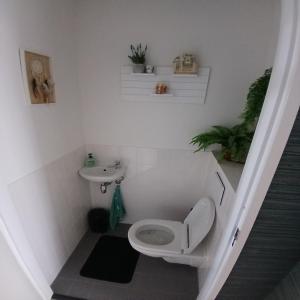 housePhoto